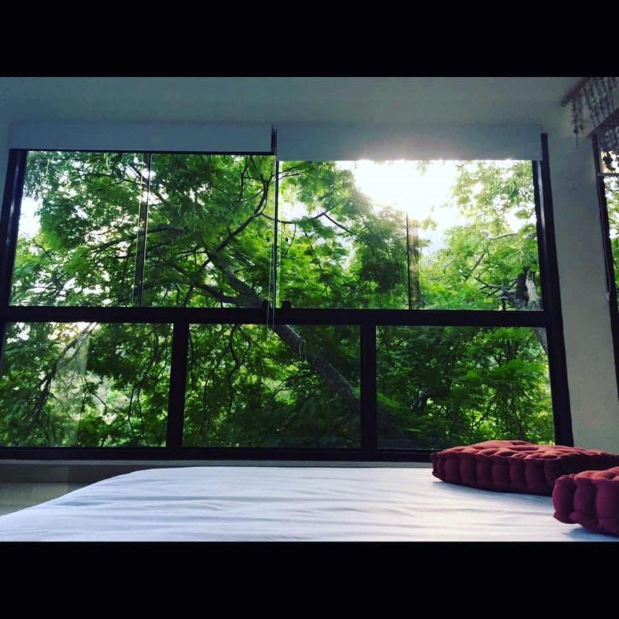 Butterfly Vanazul Guesthouse 리오데자네이루 외부 사진